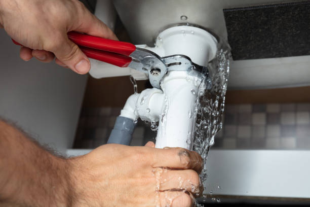 Best Water damage repair service  in The Crossings, FL