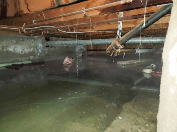 Best Flood restoration services  in The Crossings, FL