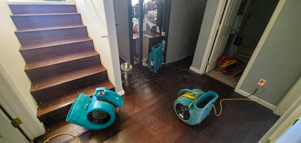 Best Water damage cleanup near me  in The Crossings, FL