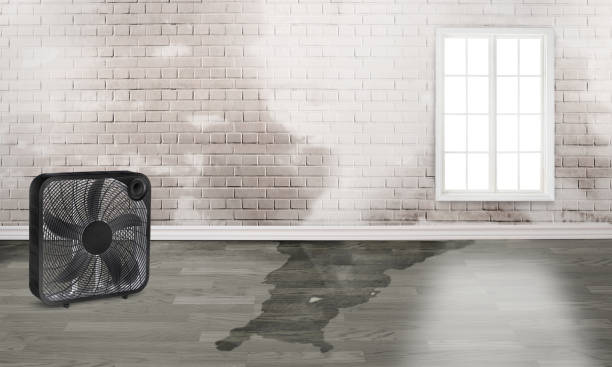 Best Emergency water damage restoration  in The Crossings, FL