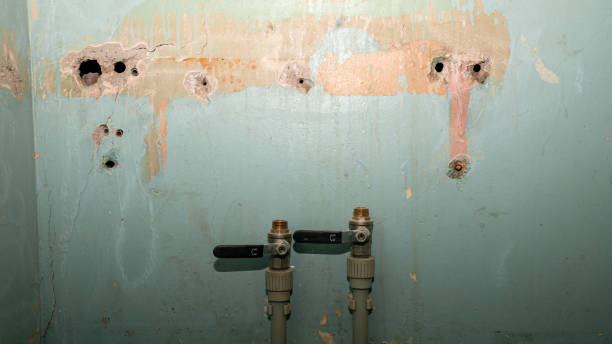 Reliable The Crossings, FL Water damage restoration Solutions