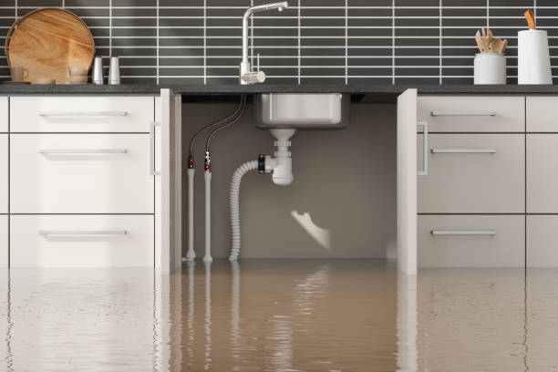 Best Professional water damage repair  in The Crossings, FL