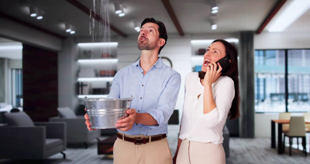 Best Water damage restoration experts  in The Crossings, FL