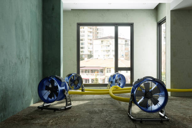 Water damage restoration experts in The Crossings, FL