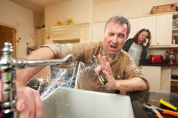 Best Water damage contractors near me  in The Crossings, FL